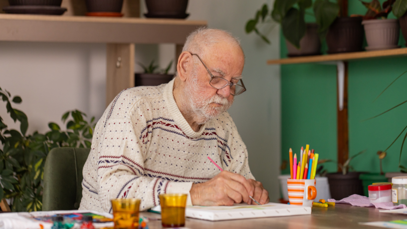 Sindnapi - Sindicato Nacional dos Aposentados, Pensionistas e Idosos